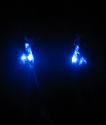 LED earrings blue alien