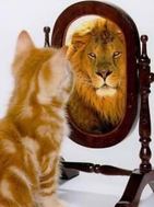 confidence cat lion